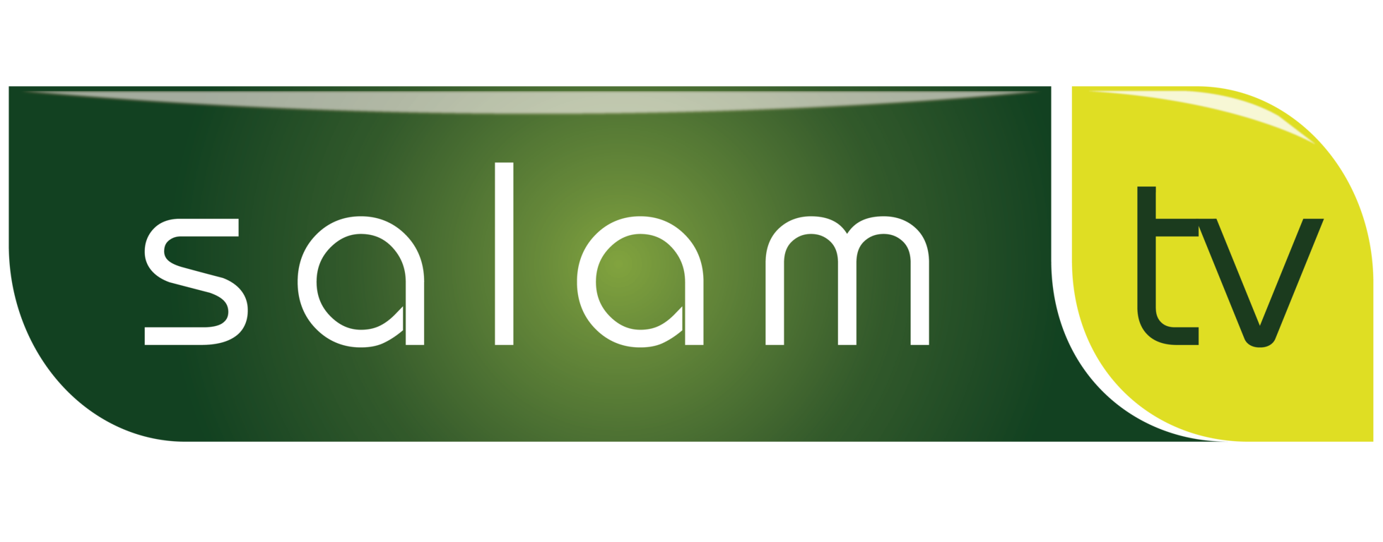 copy logo salamtv